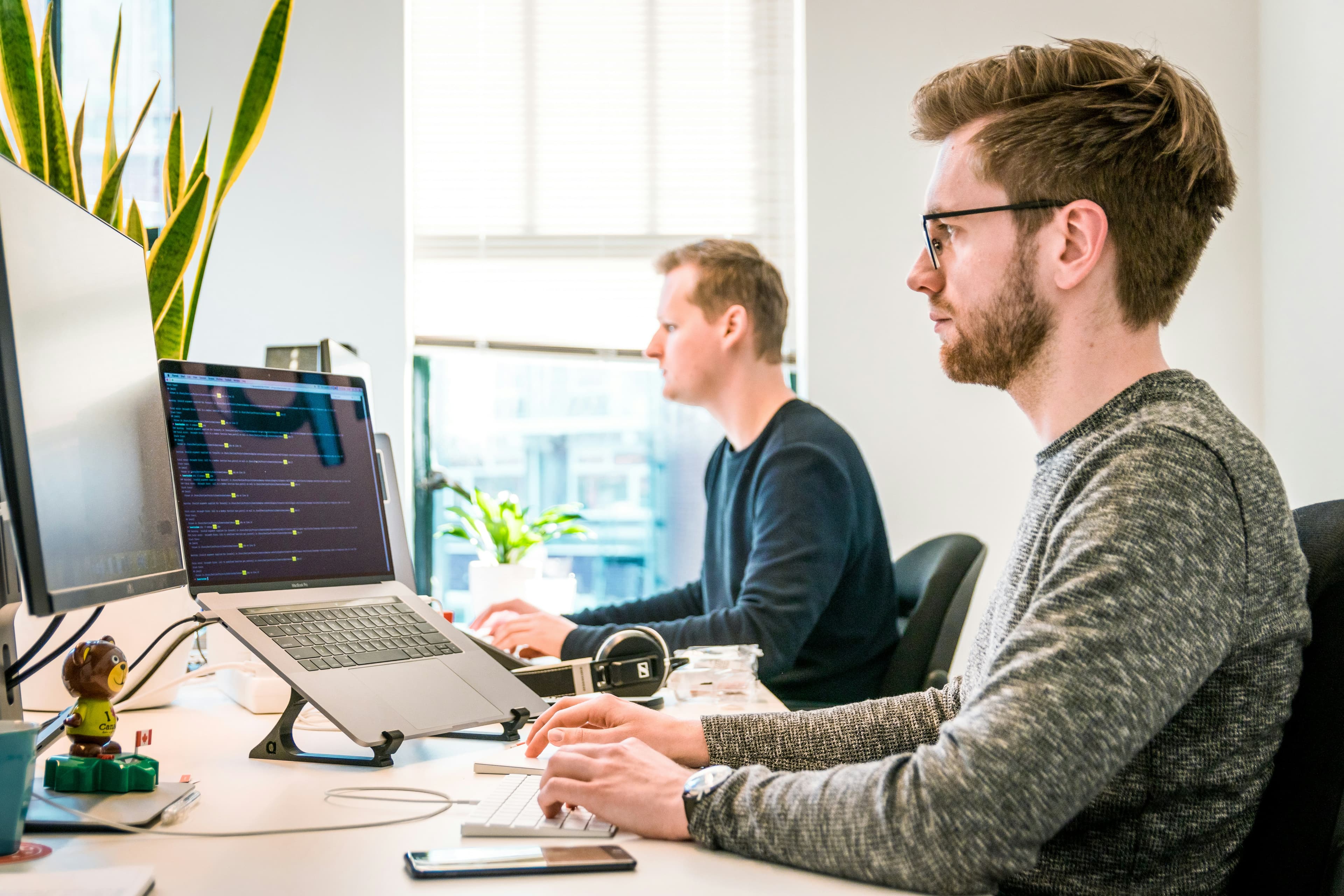 coders working on code in the office